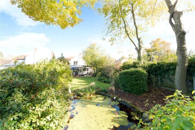 Pond