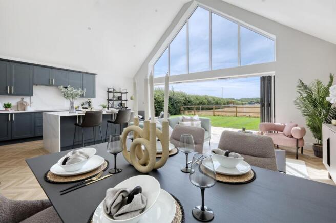 img_8654_17 copy 2 1