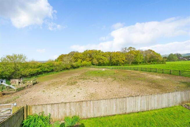 Field View