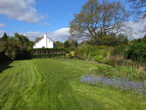 Garden 5