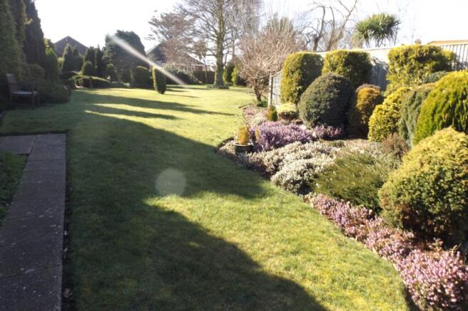garden4