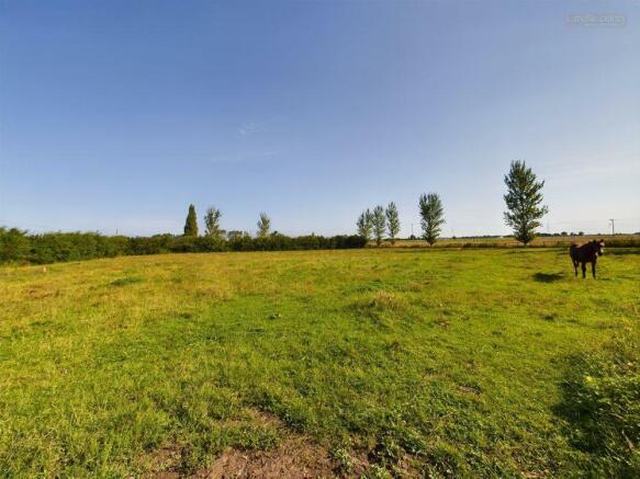 Grazing Land