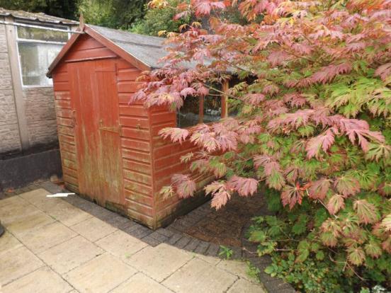 Shed