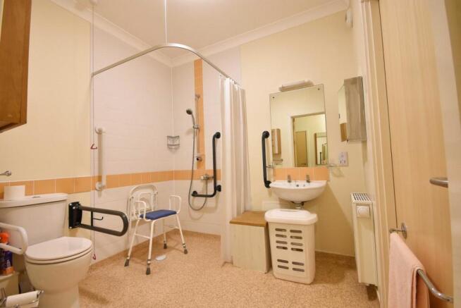Picture 7