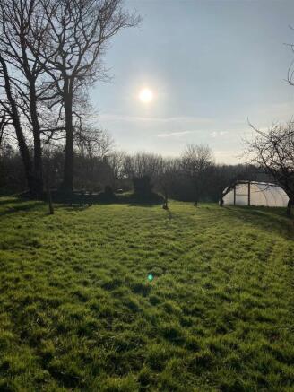 Garden 3.jpg