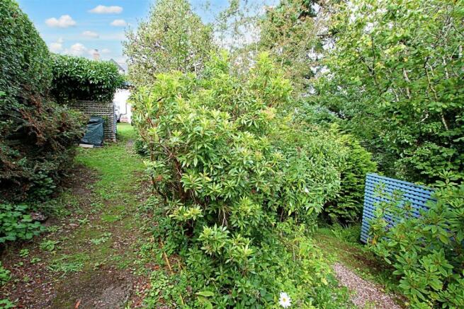 Woodland and gardens
