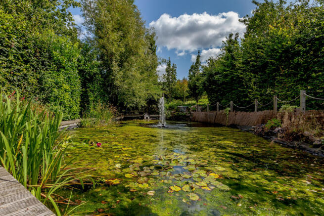 Pond