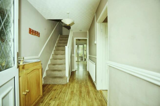 IMAGE 11
