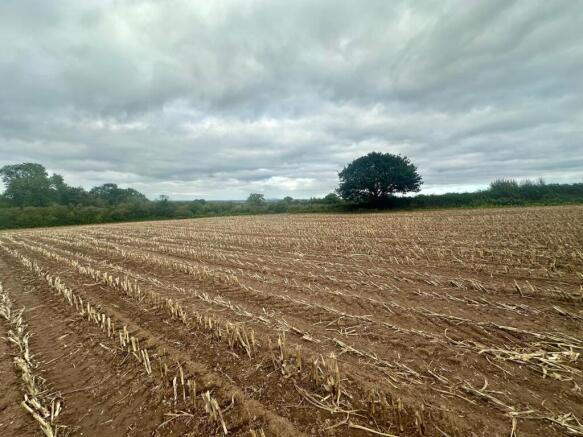 Land off London Road