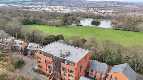 Park View Avenue, Low Fell