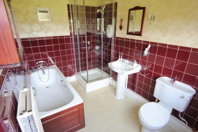 Photo 21