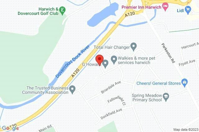 Google Maps Image