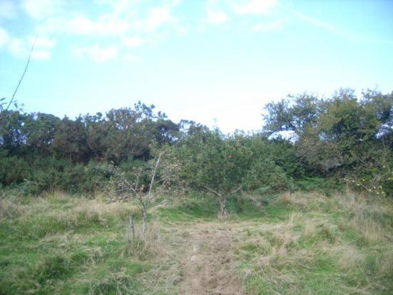 Land