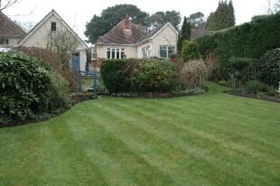 Rear of property