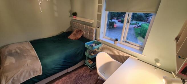 Photo 21