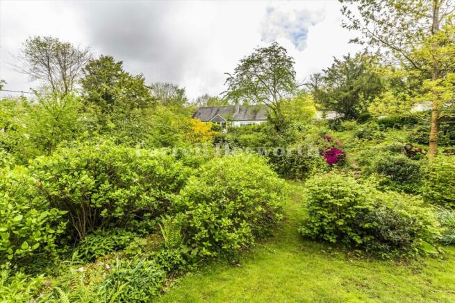 Front garden image 3