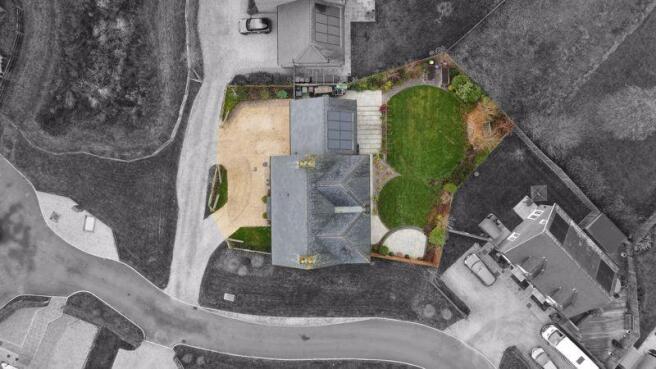 Plot View