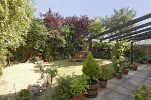 Garden Photo 1