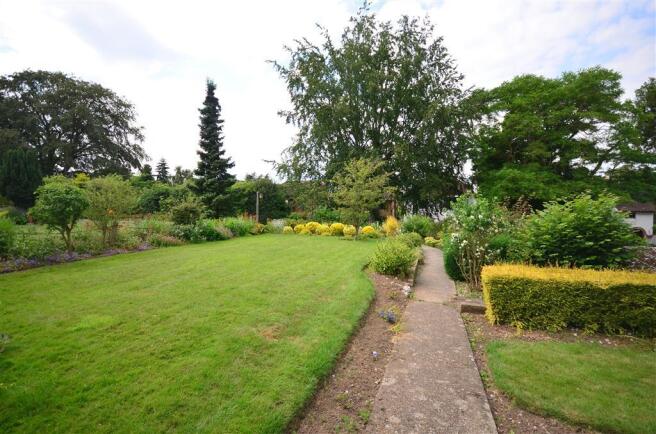 Front Garden (Original)