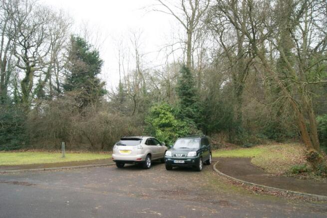 Woodland to Front