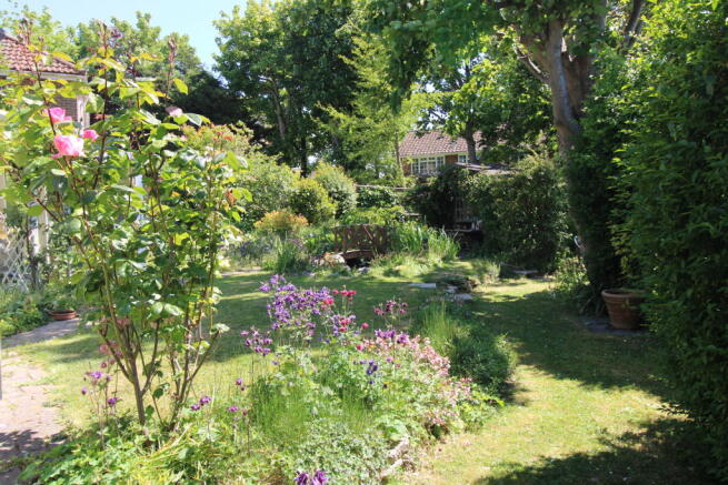 Trees and Shrubs