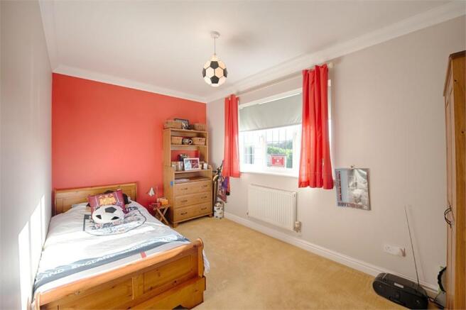 Photo 10