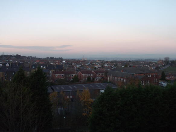 Skyline View