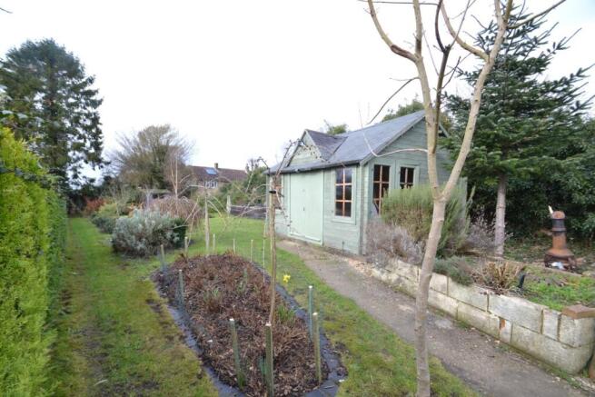 Garden 1.JPG