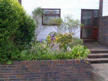 Photo 8