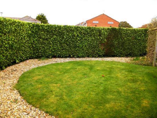 Corner Plot Gardens