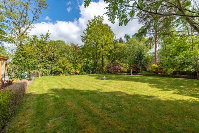 Mature Garden