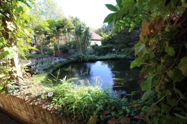 ORNAMENTAL FISHPOND