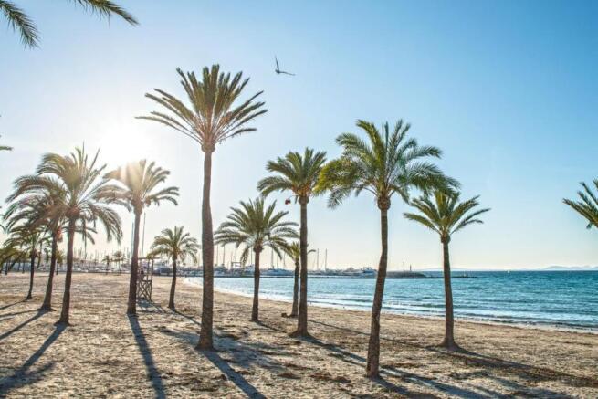 Beach in walking distance