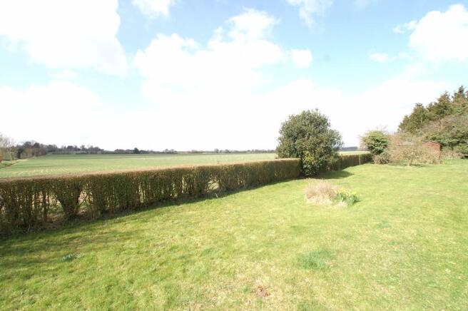 Field Views