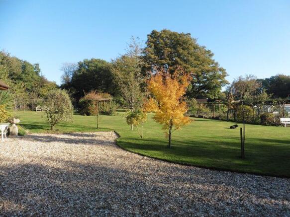 Garden 6