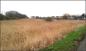 4, The Drove, Pondersbridge, Huntingdon PE26 2TQ