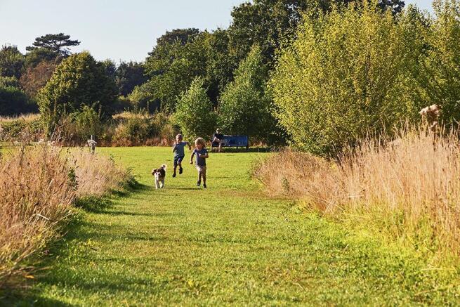 Country park