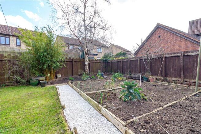 Veg Plot