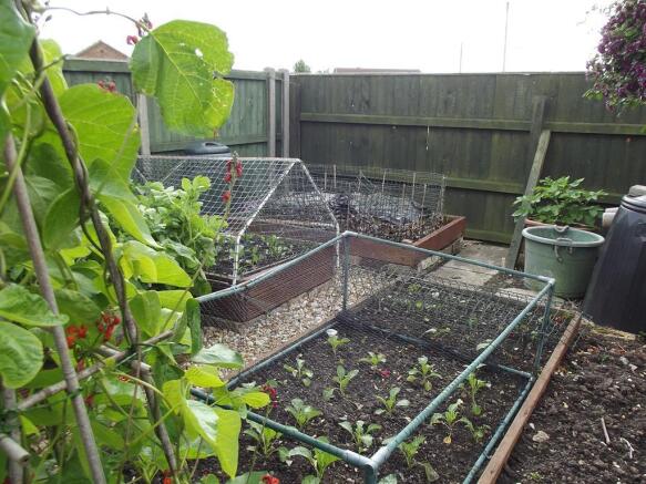 Veg Area