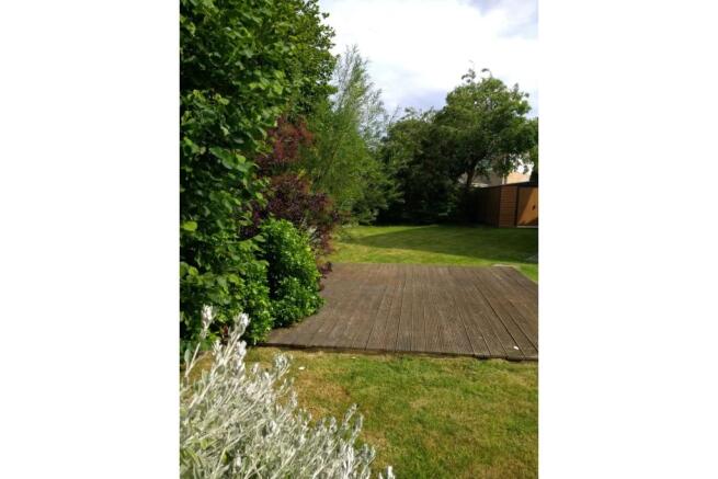 Mature Garden