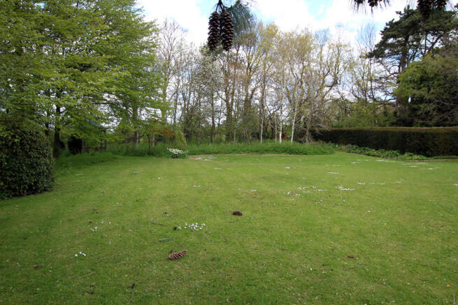 Photo 49