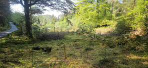 Duncraig Nursery, Duirnish - Achmore, Plockton IV52 8TZ