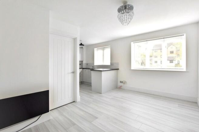 Lounge / Kitchen / Diner
