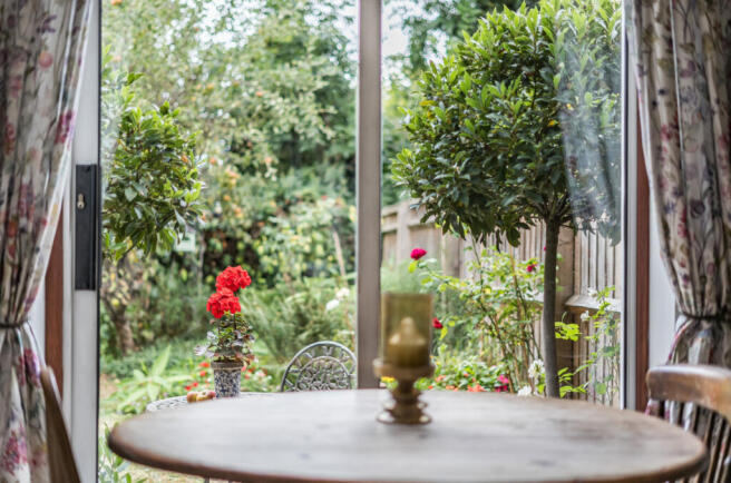 View Into Garden