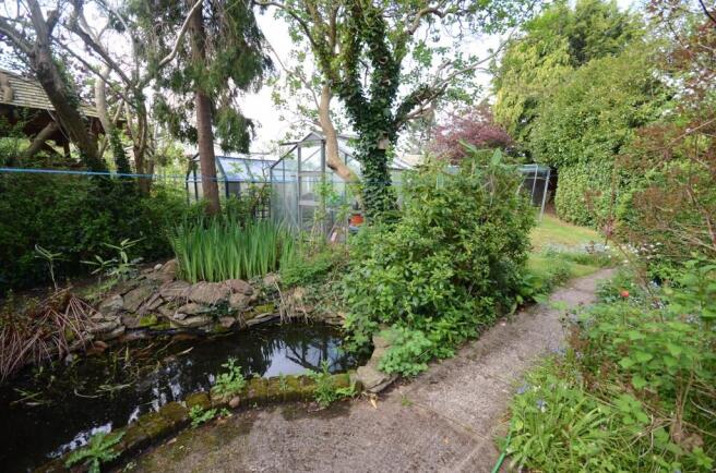 Rear garden