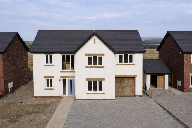Front Plot 8