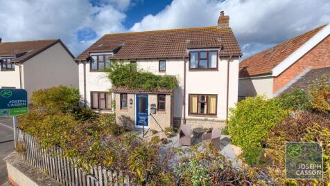 Nethermoor Road, Middlezoy, TA7