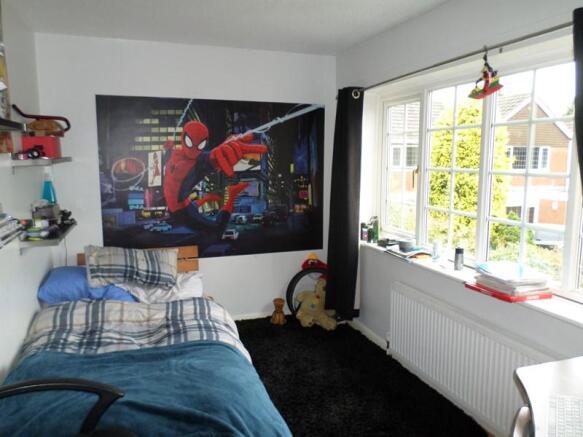 Photo 15