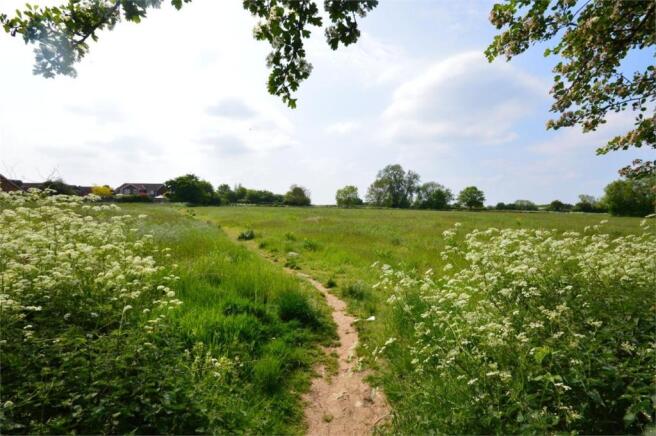 Fields behind