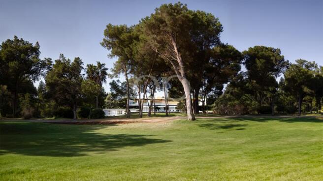 MONTE_20GOLF_2005